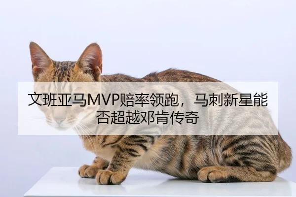 wen-ban-ya-ma-pei-shuai-ling-pao-ma-ci-xin-xing-neng-fou-chao-yue-deng-ken-chuan-qi-2-527.jpg