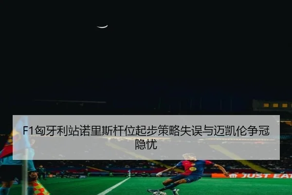 xiong-ya-li-zhan-nuo-li-si-gan-wei-qi-bu-ce-lve-shi-wu-yu-mai-kai-lun-zheng-guan-yin-you-2-505.jpg